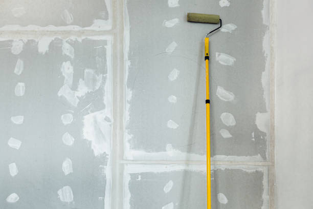 Best Attic Mold Removal  in Piqua, OH