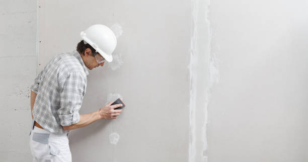 Best Industrial Mold Remediation  in Piqua, OH