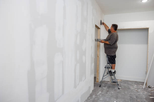 Best Emergency Mold Remediation  in Piqua, OH