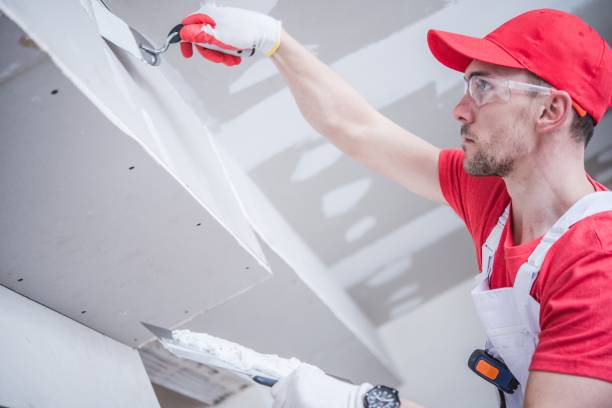 Best Attic Mold Removal  in Piqua, OH